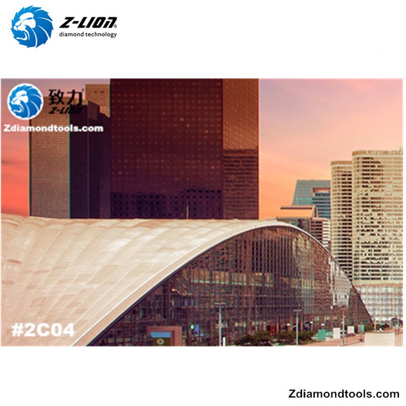 2019 De 10e China Surface Polishing Exhibition # Z-LION DIAMOND TOOLS